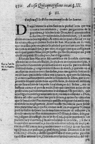 250