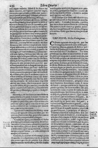 230