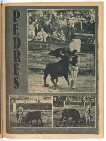 53