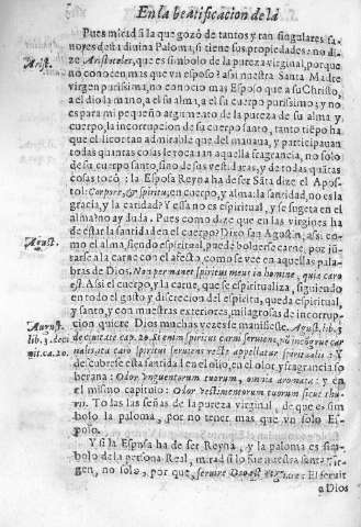 161v
