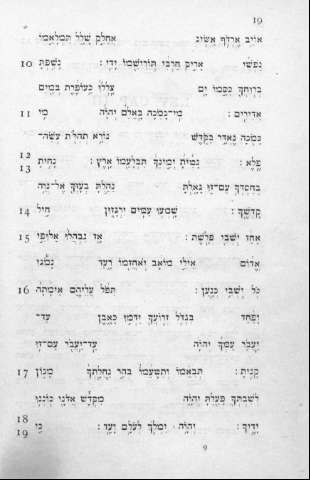 19