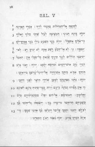 28