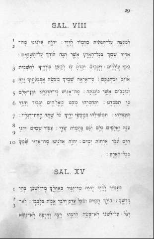 29