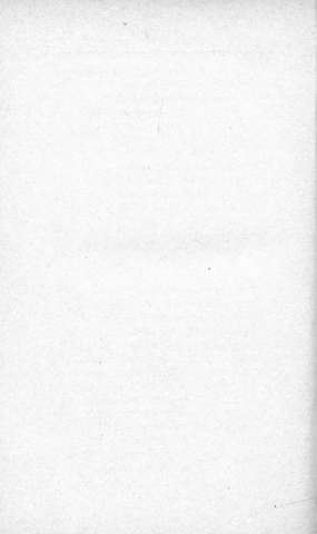 338