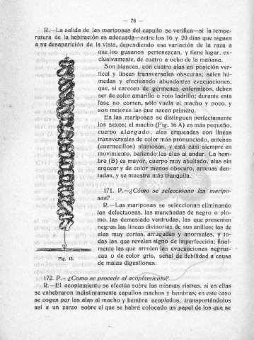 78