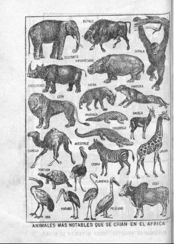 114
