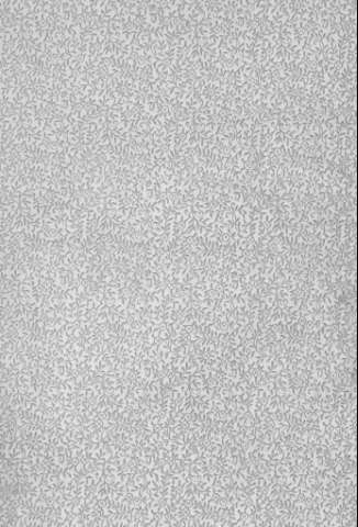 [Guarda]