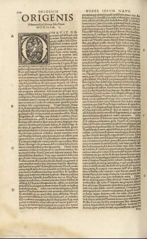 204