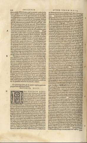 224