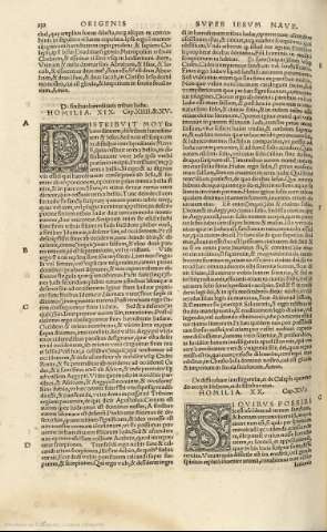 232