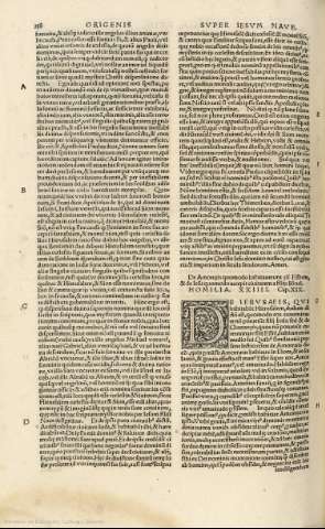 238