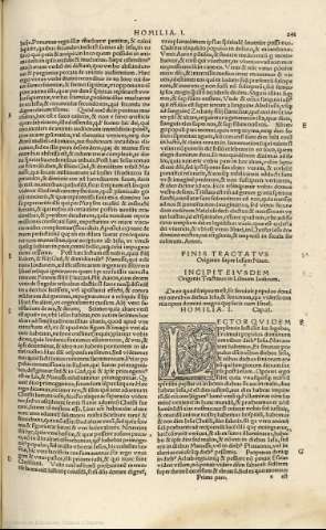 241