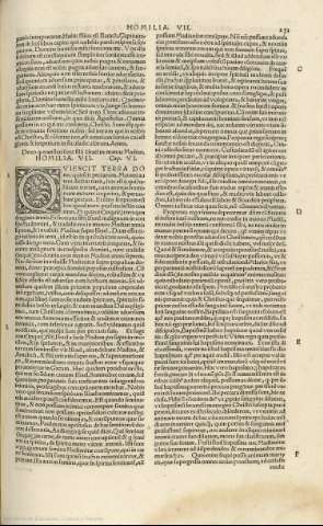 251