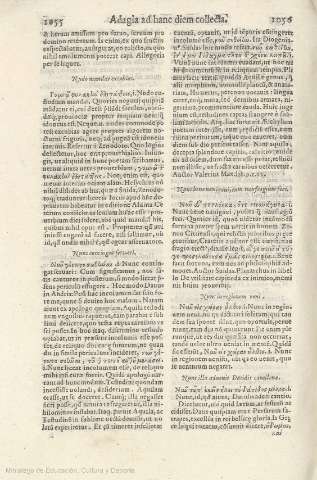 1055-1056