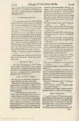 1175-1176
