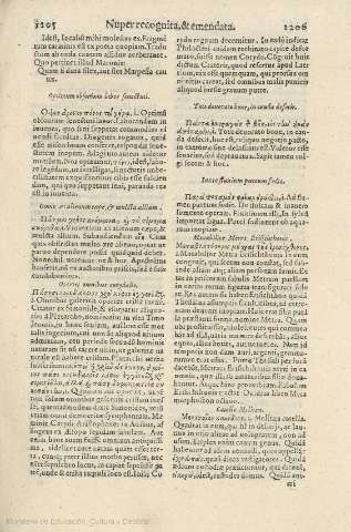 1205-1206