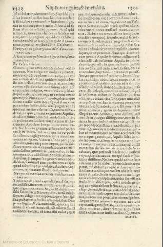 1333-1334