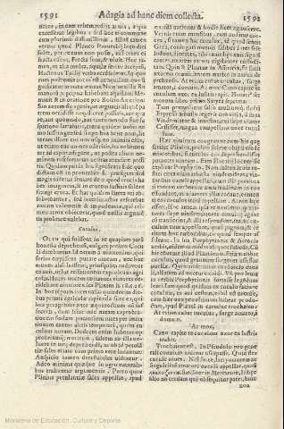 1591-1592