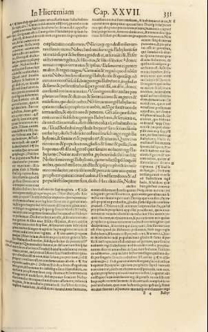 331