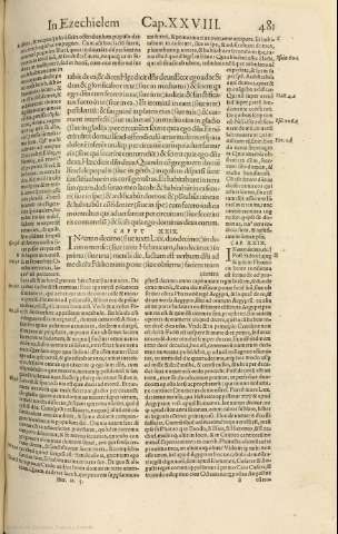 481