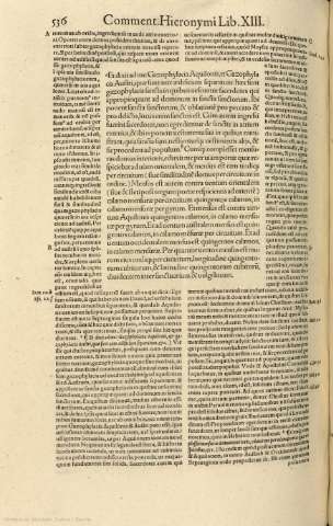 536