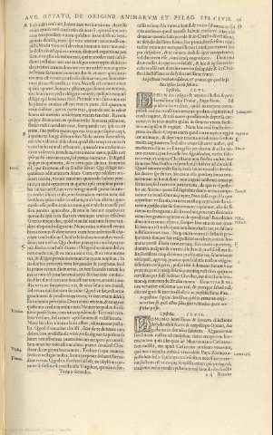 146r