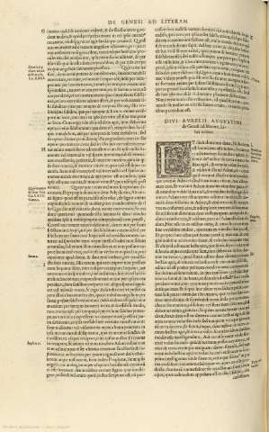 141v