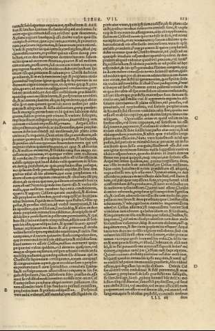 123