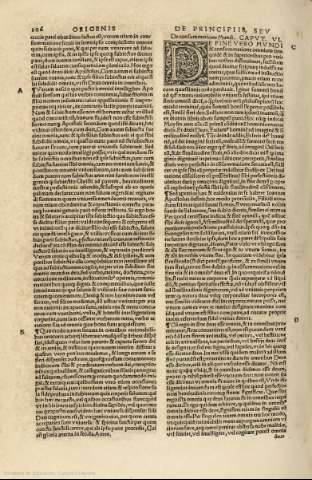 206