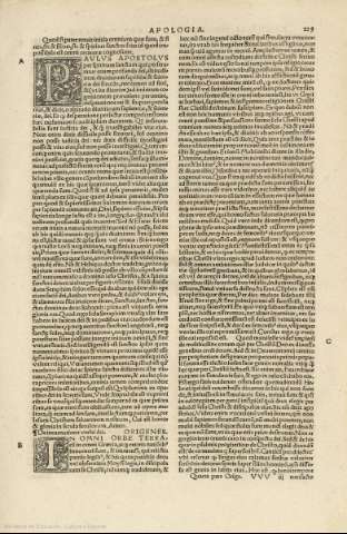 229