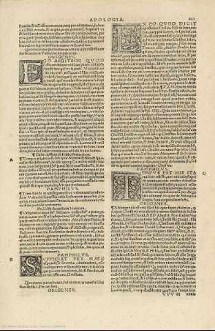 231