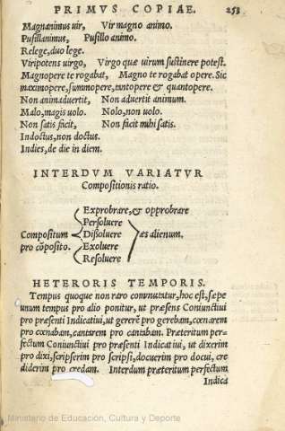 253