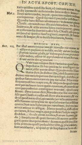 141v
