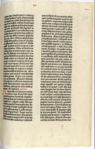 291r
