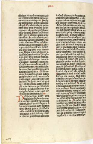 292v