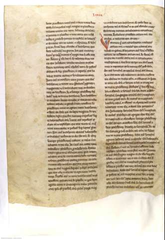 119v
