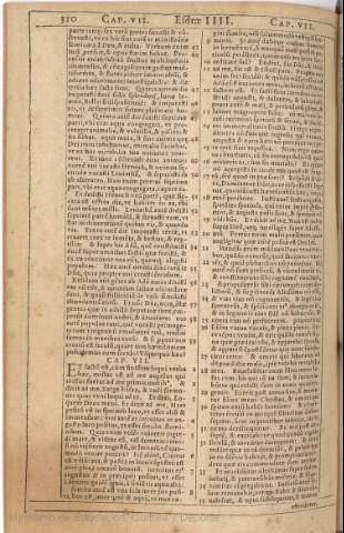 310