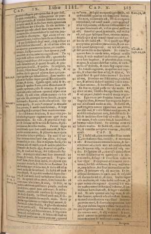 313