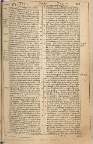 323