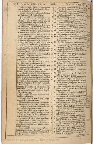 358