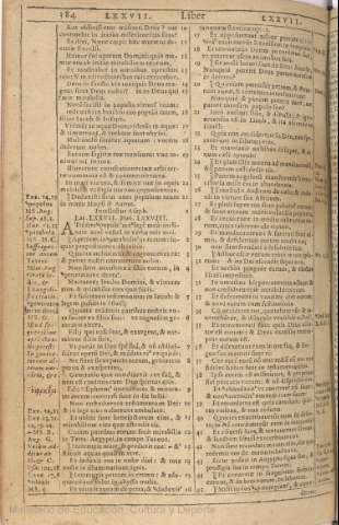 384