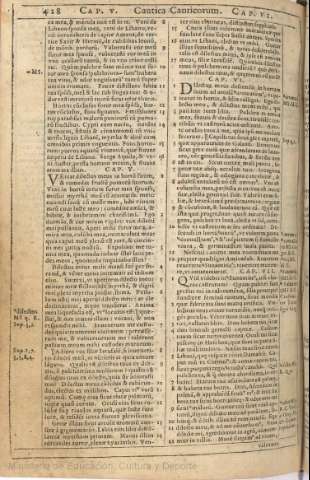 428