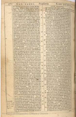 480