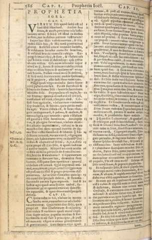 586