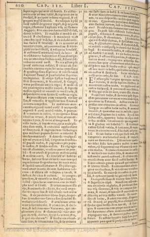 610