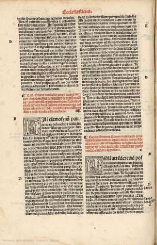 CCXVII v