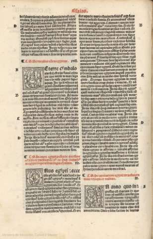 CCXXXIV v