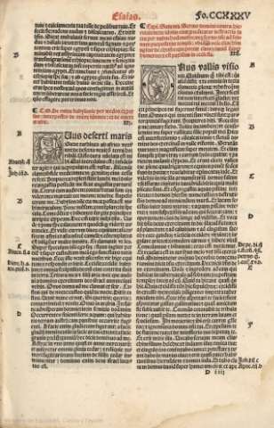 CCXXXV r