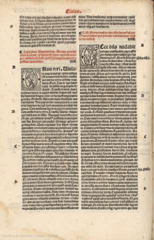 CCXXXV v