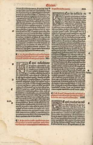 CCXXXVII v